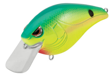 Buy taco-salad SPRO HUNTER 65 SB