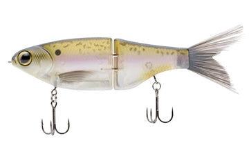 Buy threadfin-shad SPRO KGB SERIES CHAD SHAD 180