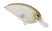 Matte Shad
