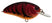 Western Craw
