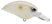 Pearl Shad