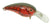 Red Craw