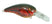 Red Craw