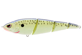 Buy cell-mate SPRO SASHIMMY SWIMMER 125