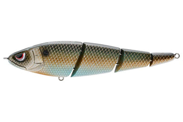 Buy killer-gill SPRO SASHIMMY SWIMMER 125