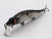Ozark Shad