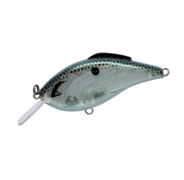 BILL LEWIS HAMMER FLAT