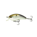 6TH SENSE SWANK SERIES-13