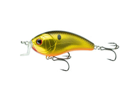 Buy gold-reactor 6TH SENSE SWANK SERIES