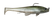 Tennessee Shad - 006