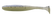 Pepper Ghost