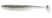Rainbow Shad