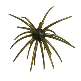 Buy guadalupe-haze HAG'S PRICKLY PEAR