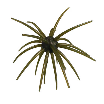 Buy guadalupe-haze HAG'S PRICKLY PEAR