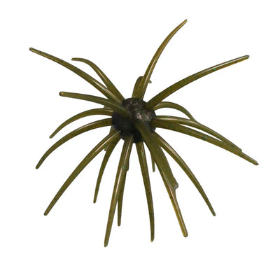 Buy guadalupe-haze HAG'S PRICKLY PEAR
