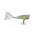 RC-593 | Garys Clear Choice