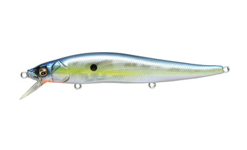 Buy gp-sexy-shad MEGABASS VISION ONETEN