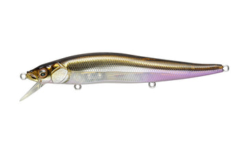 Buy ht-ito-wakasagi MEGABASS VISION ONETEN