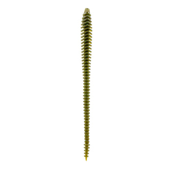 Buy watermelon-candy-magic 6TH SENSE BOOSA 6.5 SHAKEY WORM