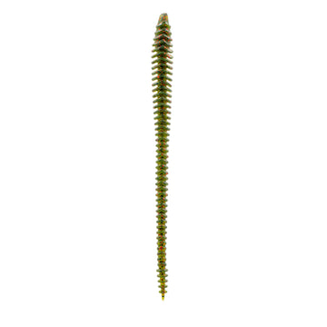 Buy watermelon-red 6TH SENSE BOOSA 6.5 SHAKEY WORM
