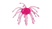 WB-002 | Pink