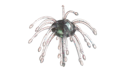 Buy wb-003-ghost-trout G-RATT BAITS WEBBER