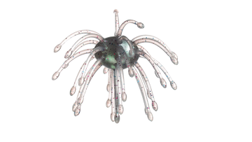 Buy wb-003-ghost-trout G-RATT BAITS WEBBER