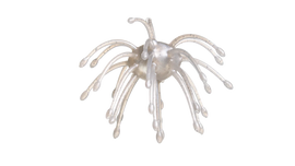 Buy wb-005-pearl G-RATT BAITS WEBBER