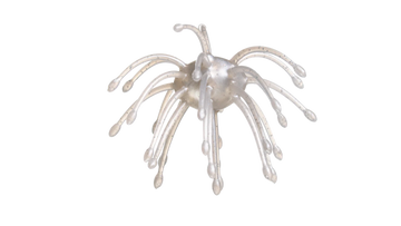 Buy wb-005-pearl G-RATT BAITS WEBBER