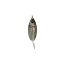 AQUA DREAM LIVING WEEDLESS SPOON-7