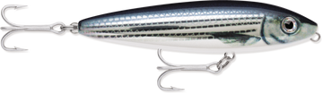 Buy mullet RAPALA SALTWATER SKITTER WALK