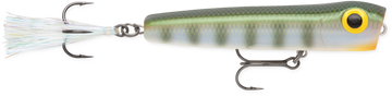 Buy bluegill STORM RATTLIN CHUG BUG