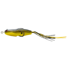 Buy chartreuse-black-shad NORIES HOSHOKUON