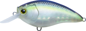 Buy matte-ghost-sexy-shad YO-ZURI 3DR-X CRANK SR (SHALLOW RUNNER)