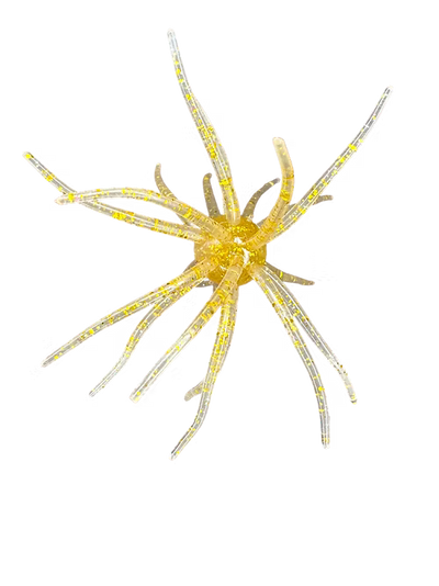 Buy marfa-light HAG'S PRICKLY PEAR