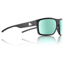 REDFIN POLARIZED BIG SHIP-3