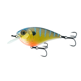Buy bluegill-candy 6TH SENSE FLAT FINESSE F4