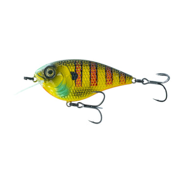 Buy bluegill-fire 6TH SENSE FLAT FINESSE F4