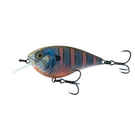 Buy bluegill-spawn 6TH SENSE FLAT FINESSE F4