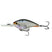 Ghost Pro Shad