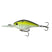 Sexified Chartreuse Shad