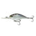 Shad Scales (w/ Scales)