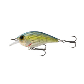 Buy chartreuse-crappie 6TH SENSE PRESSURE SERIES