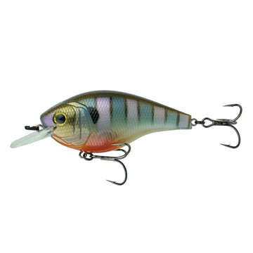 Buy bluegill-spawn 6TH SENSE CLOUD 9 MAGNUM SQUAREBILL