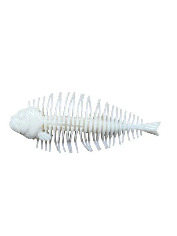 D-STYLE GEELACANTH