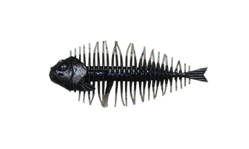 Buy dc134-under-bait D-STYLE GEELACANTH