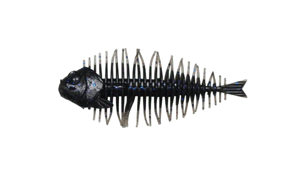D-STYLE GEELACANTH