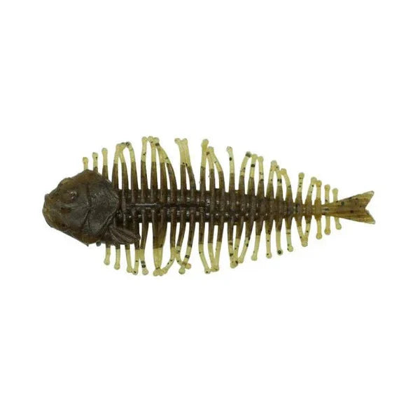 D-STYLE GEELACANTH