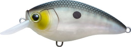 Buy matte-green-gizzard-shad YO-ZURI 3DR-X CRANK SR (SHALLOW RUNNER)