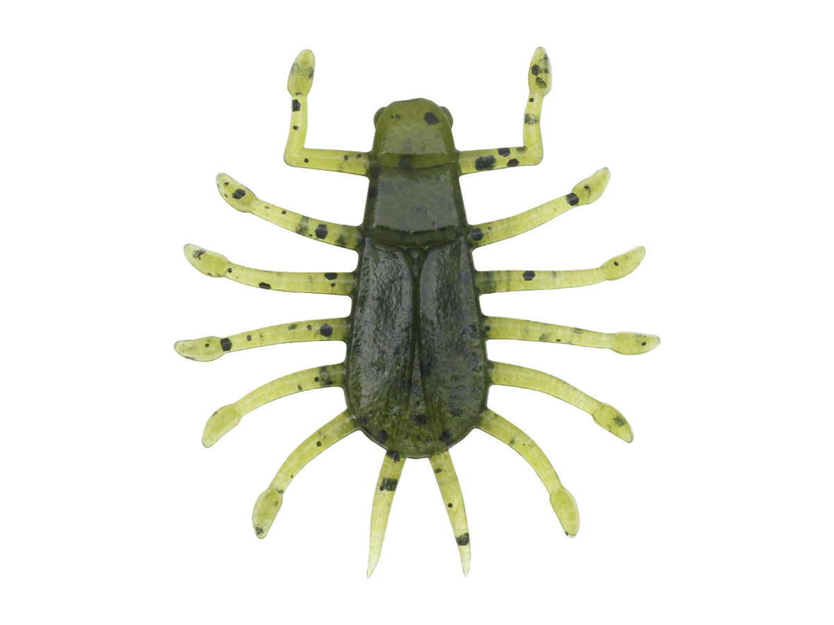 DEPS WIGGLE BUG | Copperstate Florida